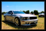 mustang saleen2